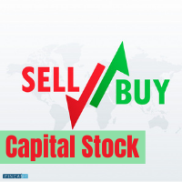 Capital Stock