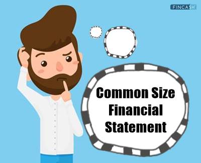 Common Size Financial Statement