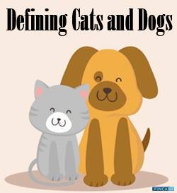 Defining Cats and Dogs