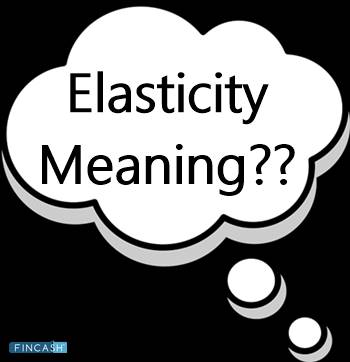 Elasticity Meaning