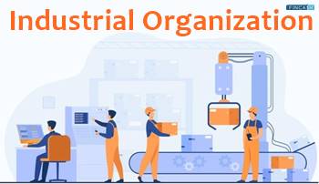 What is an Industrial Organization?