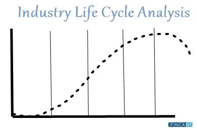 What is an Industry Life Cycle Analysis?