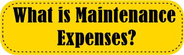 What is Maintenance Expenses?