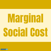 Marginal Social Cost (MSC)