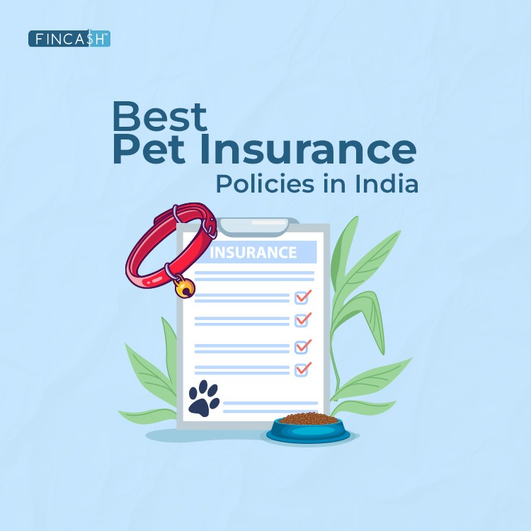 Pet Insurance Policies in India