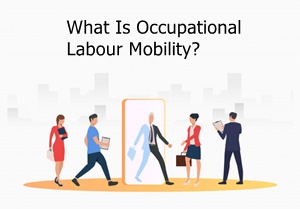 What is Occupational Labour Mobility?