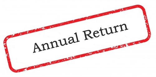 Annual Return
