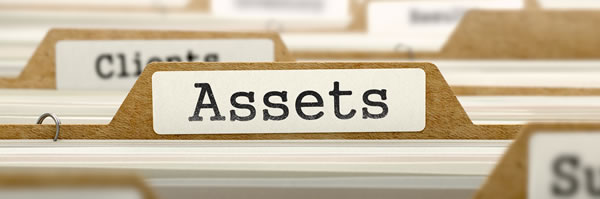 What is Asset?