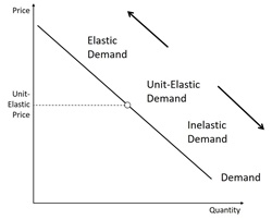 Concept of Elasticity of Demand