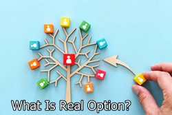 What is a Real Option?