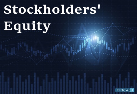shareholder-equity
