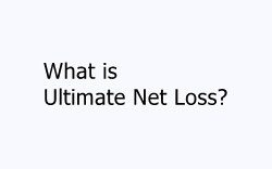 What is Ultimate Net Loss?